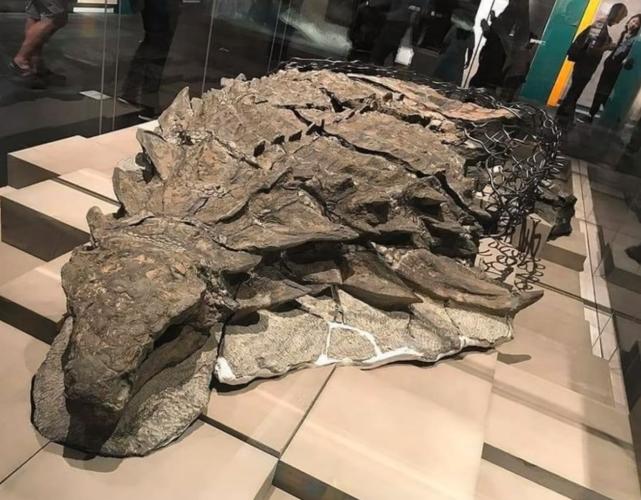  36张罕见的照片，感觉被大自然惊艳到了。