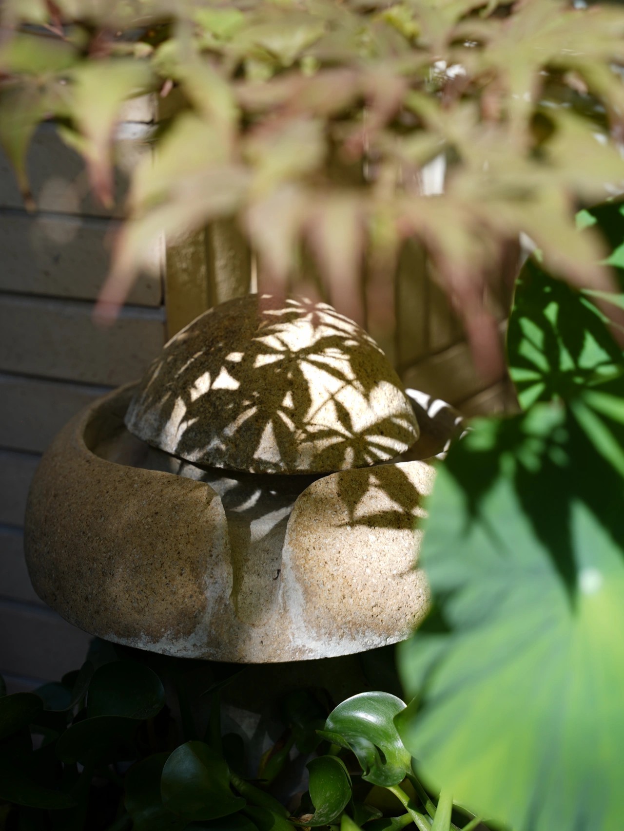 买这房子，就是看上这个40㎡的院子，改造后美得像一幅四季风景画