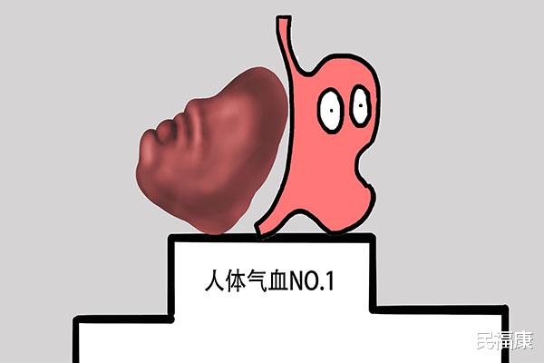 脾胃|冬季养脾正当时,老年人调养脾胃,“4黄4白”要常吃