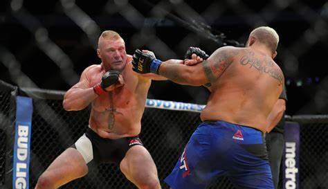 交易|野兽化身，WWE冠军，UFC冠军，风光过后，归隐田园做农民