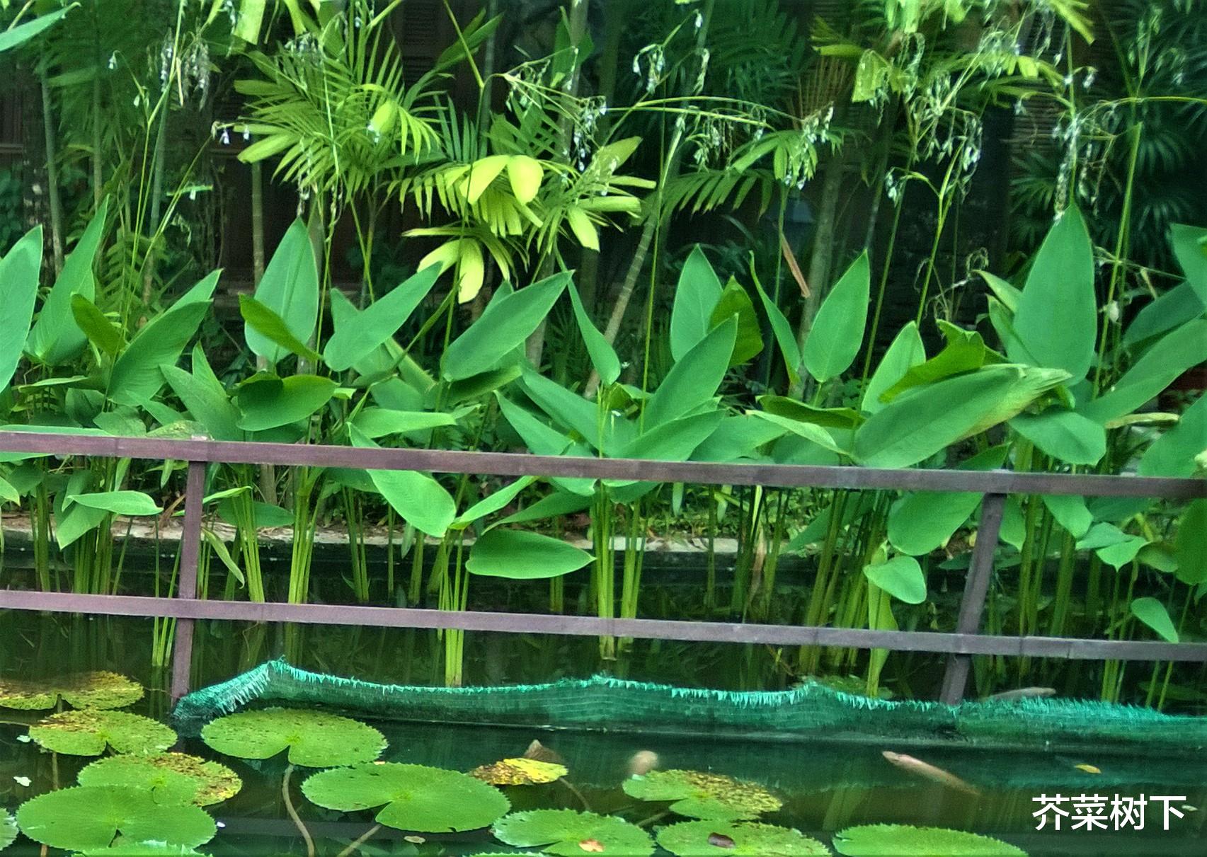 职场故事|职场难题：是否换跑道，自己要想好