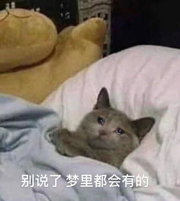 桉月|表情包：你看我眼里是不是都是你