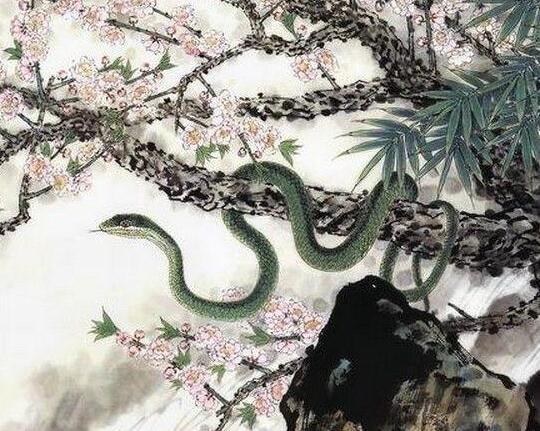 朝哥聊生肖 10月份财运亨通，运势大有好转，事业顺风顺水的生肖