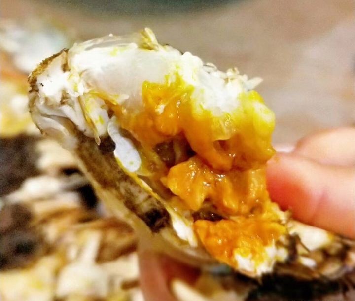  网上各种死后螃蟹不能吃，想问：螃蟹死后有毒是不是科学的说法？