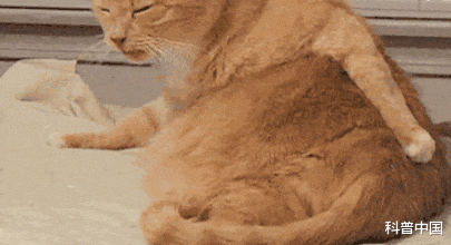 痔疮|屁股擦不对，痔疮找上门？痔疮到底怎么预防？