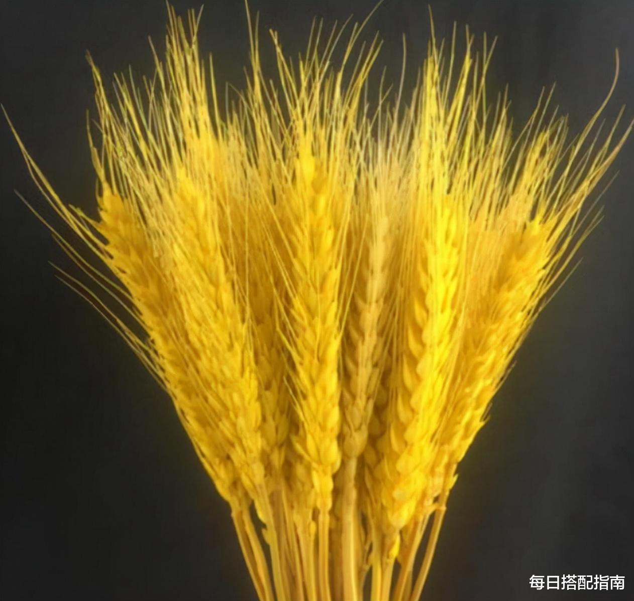 每日搭配指南 “基础色”才是万能色，搞懂基础色的含义，再也不怕穿衣显廉价