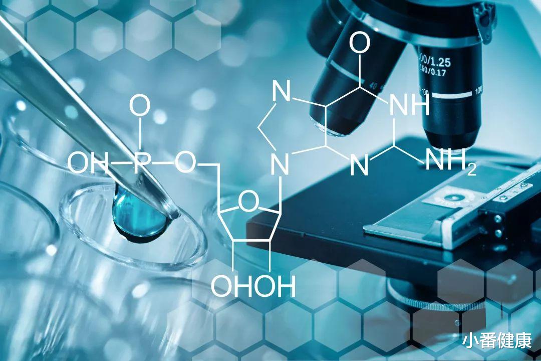 乙肝药物发现,基于RG-7834衍生物,可减少HBsAg兼具肝靶向性