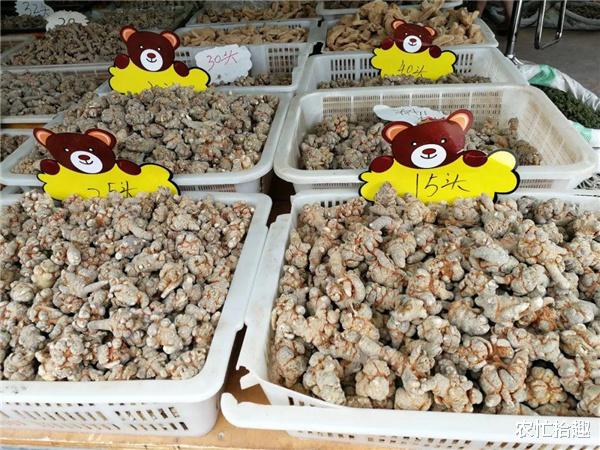 注册制 又一波炒作落幕，产地价格跌入谷底，仍难走量，农民：莫跟风