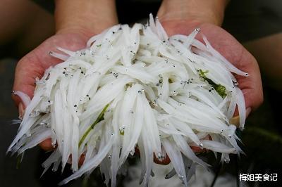 银鱼|日本富豪眼中的“长寿食物”,我国产量高却很少有人吃,为何?