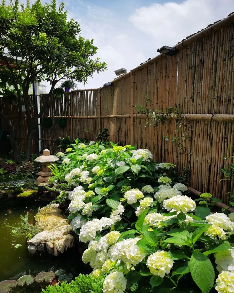 因为这个50㎡露台，买了这套房子，历时7年DIY打造成花园，太美了