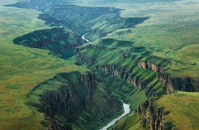 太阳系 人类为什么吃食草动物的肉,却不怎么吃食肉动物的肉?看完涨知识