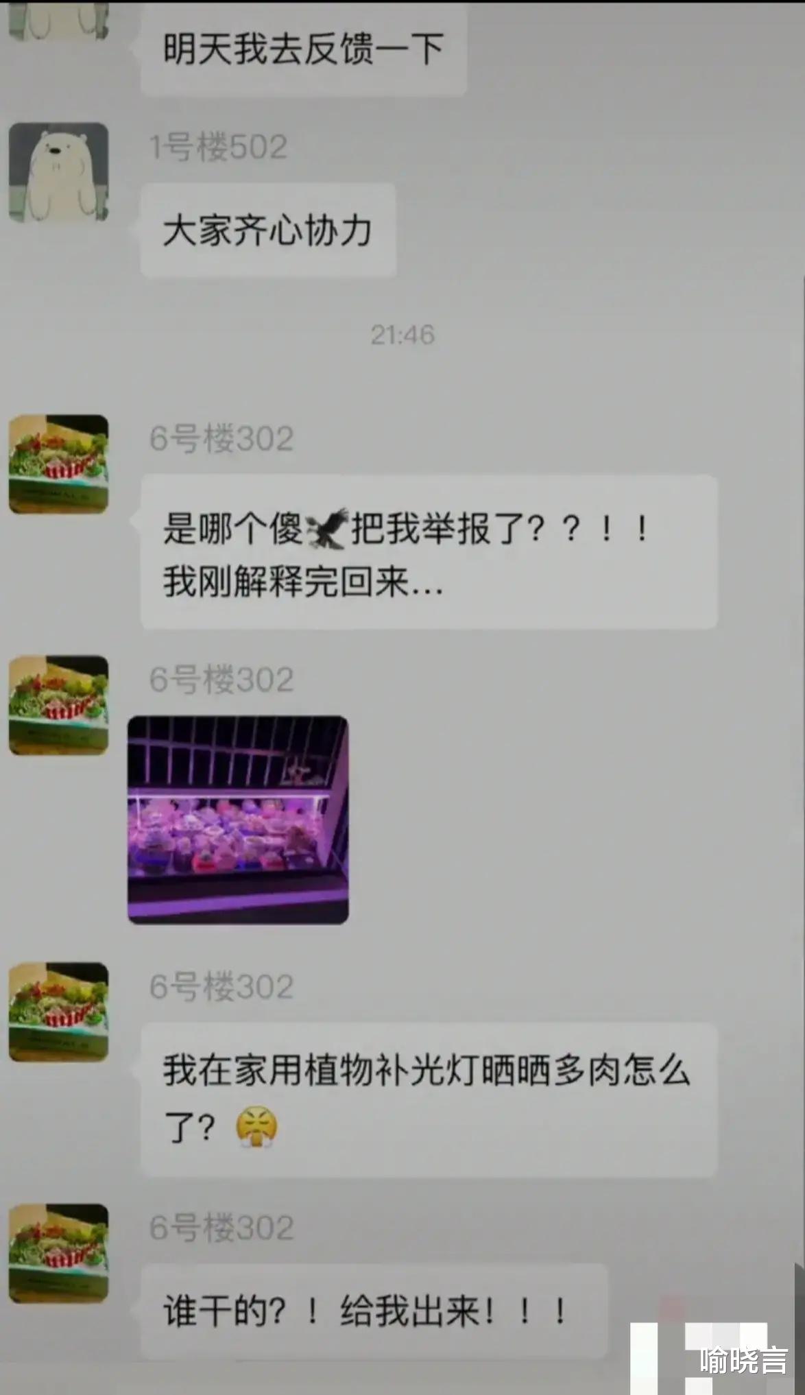 喻晓言 宁波发生了一件有趣的事儿，男子遛弯见一户准时亮起粉红色的灯，就给举报了，结果哭笑不得！