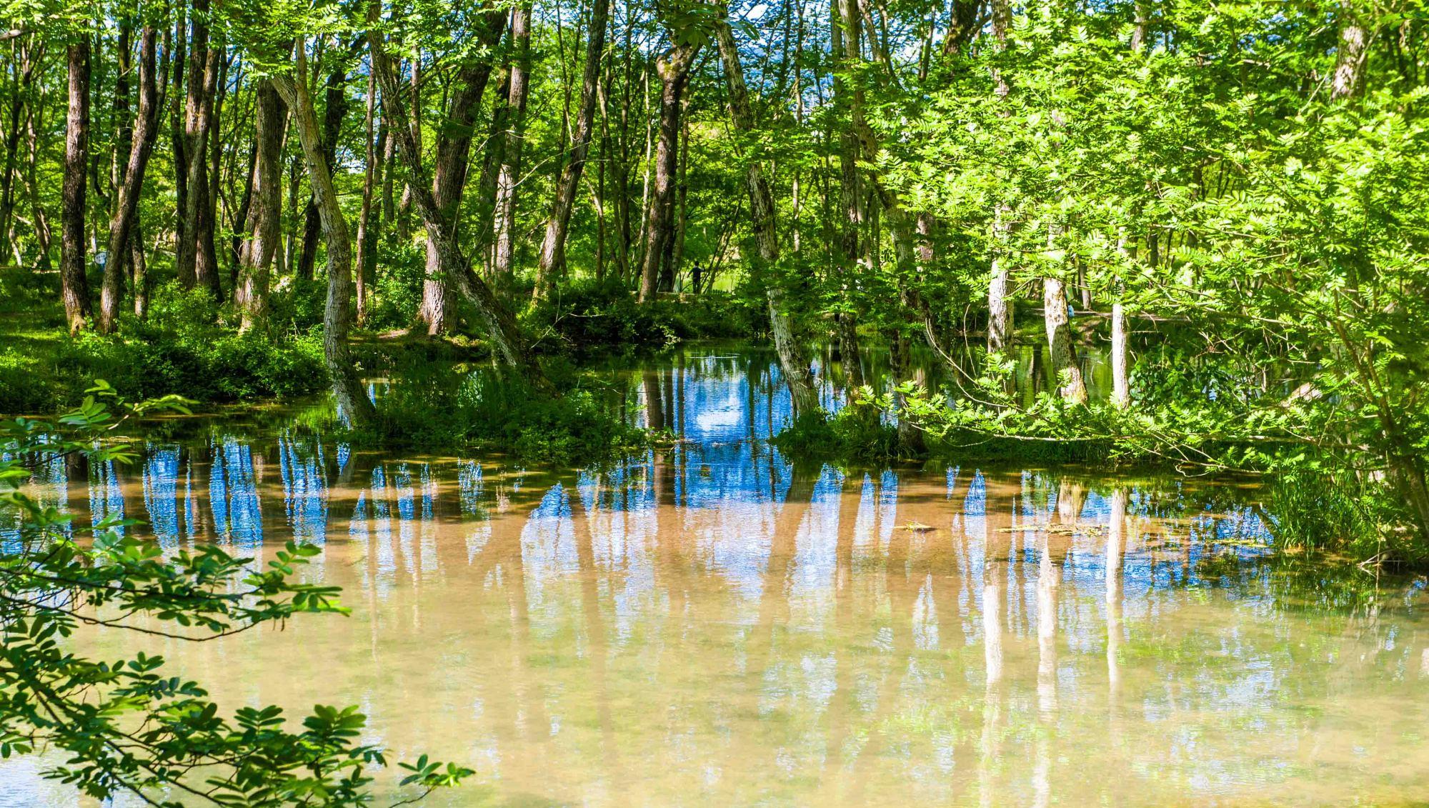 奶球妈咪聊|安徽的世外桃源,被誉为现实版绿野仙踪,是一片无污染的绝美净土