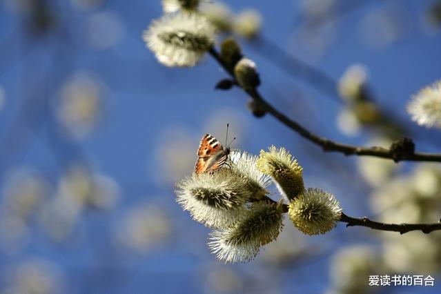 墨菲定律 《墨菲定律》：你之所以觉得自己运气不好，其实是怪你自己