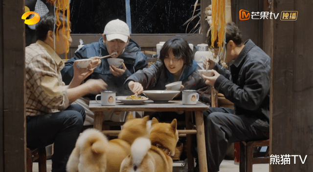 黄磊|《五哈》导演亲自出镜，挑衅黄磊隔空下战书，彭彭飘了？