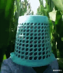 鑫宝聊育儿|“跟男友第一次住宾馆，洗澡间挂个毛笔啥意思？”哈哈哈