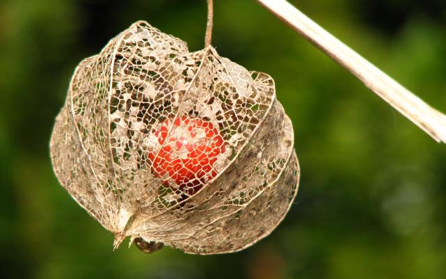 属鼠|未来几个月有贵人帮衬，职场喜事多，赚钱不费劲，登上巅峰的属相