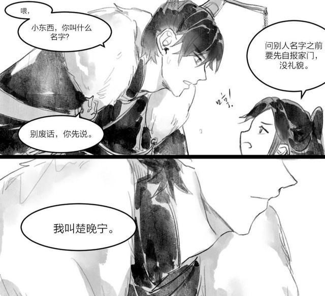 贵阳|二哈和他的白猫师尊,衍生剧情,楚晚宁甜蜜和虐心主线