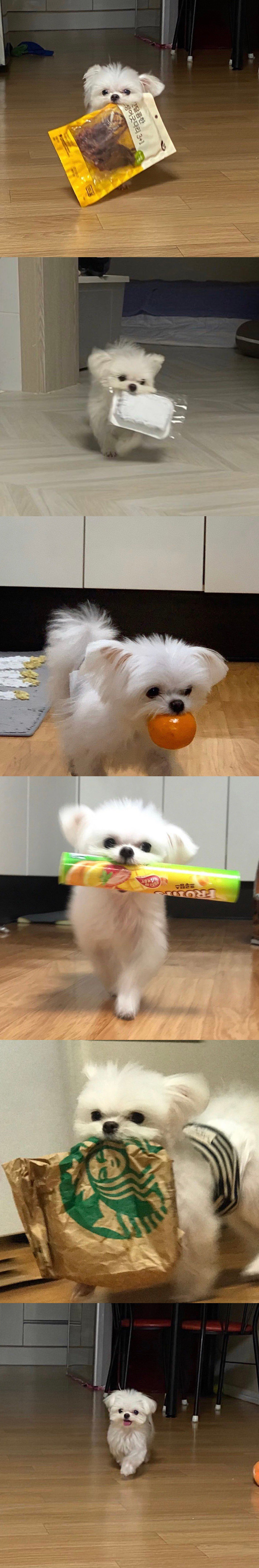 桉月|表情包:今日份治愈表情包