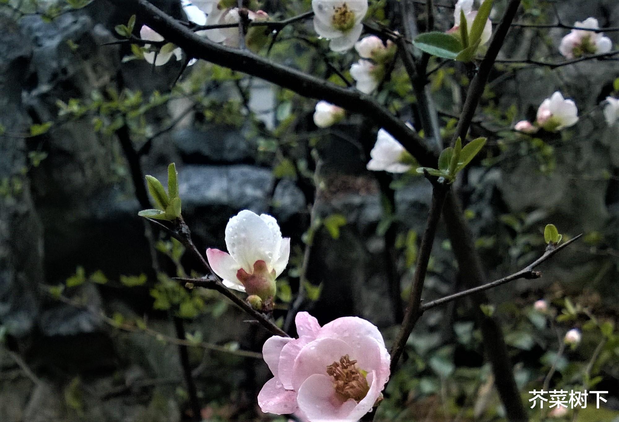 |职场遇无赖,能咋办?