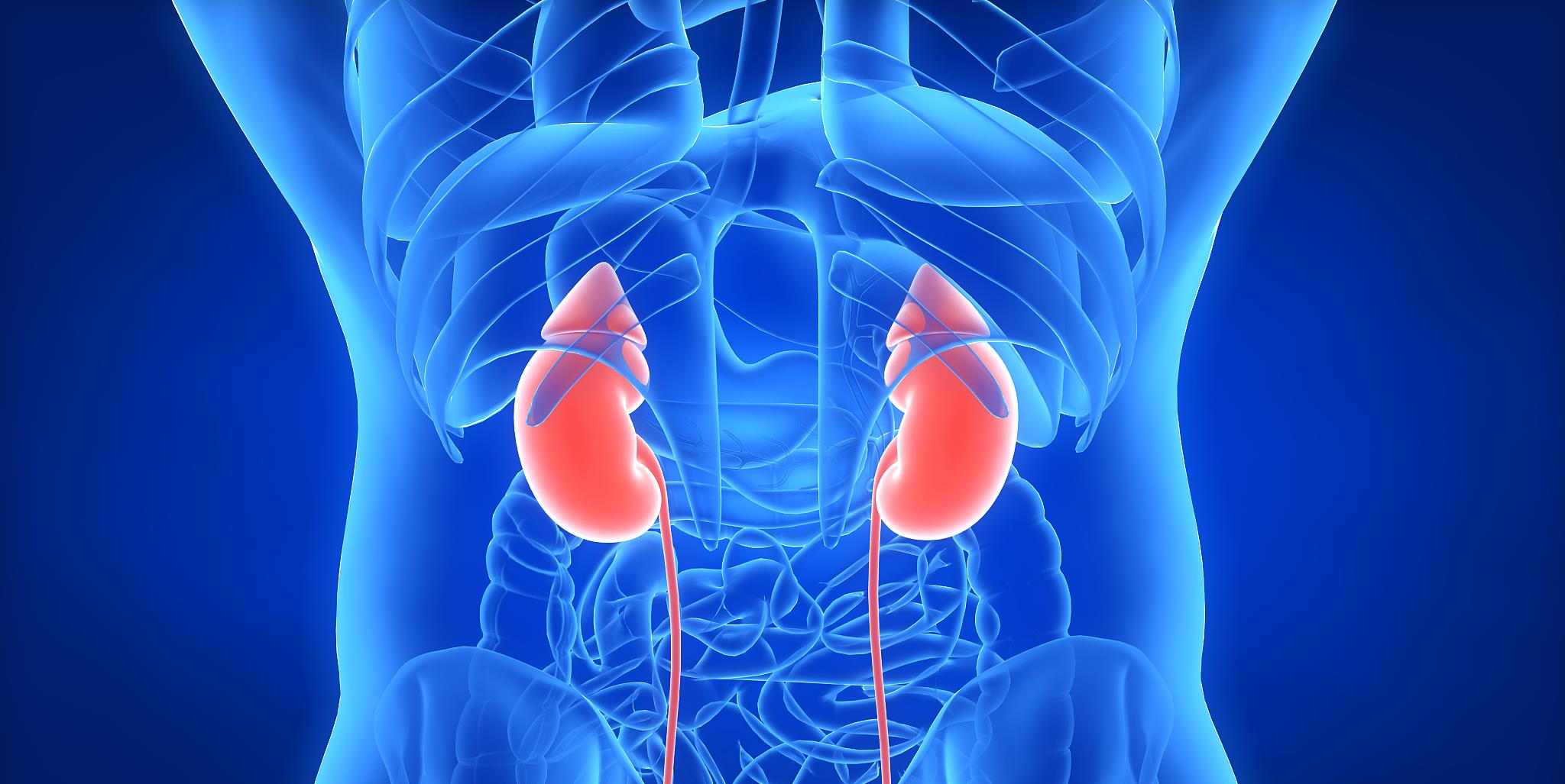 蔬菜|体检发现肾囊肿？不要怕，控制病情可按这5步来走