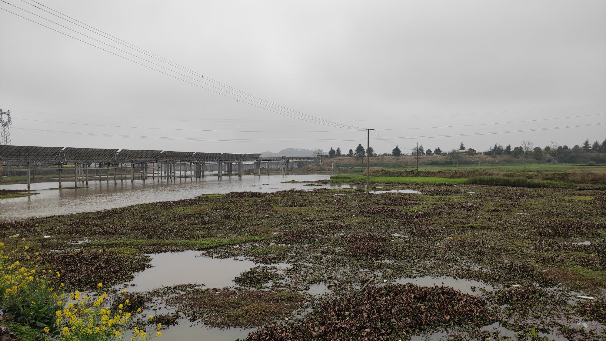 |秋末野钓鲫鱼，还在傻傻打大窝？找准位置才是王道！