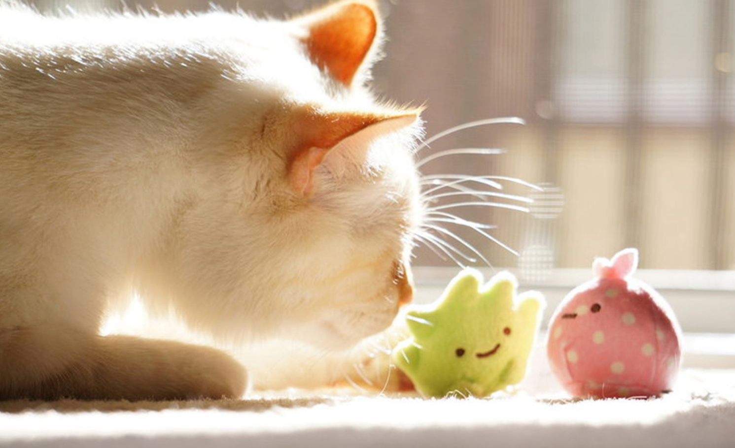 禽倌|要获取这个星座的信任，难度真心够高，3个硬核原因决定了这一点