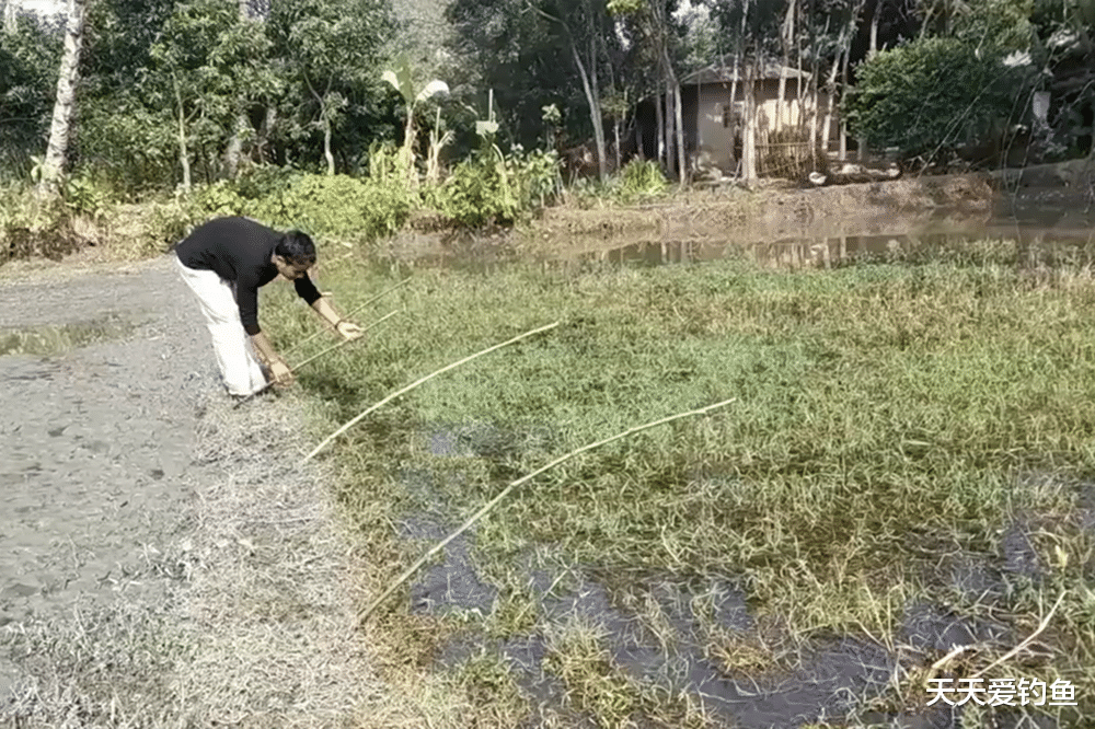 饵料|黄颡鱼的三种经典钓法，晚秋黄颡鱼肥美而且能吃，怎么钓都好钓！