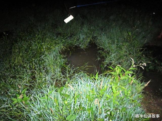 赛半仙讲故事 民间故事：四叔夜钓归来，家中的狗狂吠不止，从此他再也不碰鱼竿