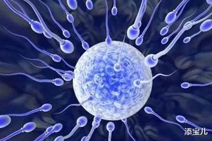 添宝儿|如何满足做试管婴儿的条件?