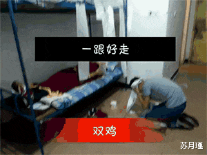 苏月瑾 “刚去了一家公司，这是员工宿舍，大家觉得怎么样？”哈哈哈