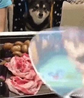 小琳解说星座|“美女，出门前还是注意下穿着吧，你旁边的闺蜜都不好意思看了！”哈哈哈