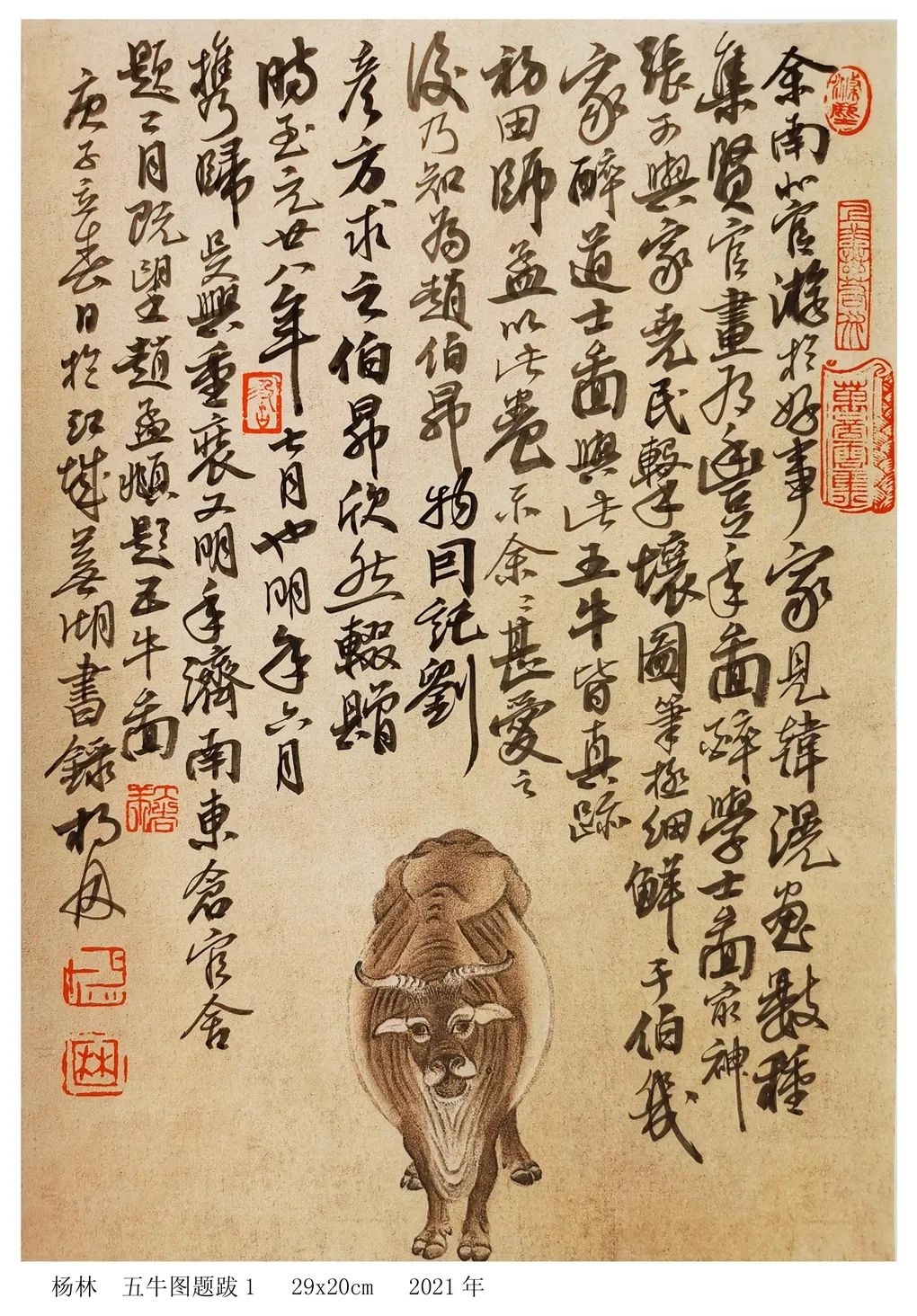 五牛图|牛年画牛！画家杨林对画韩滉《五牛图》