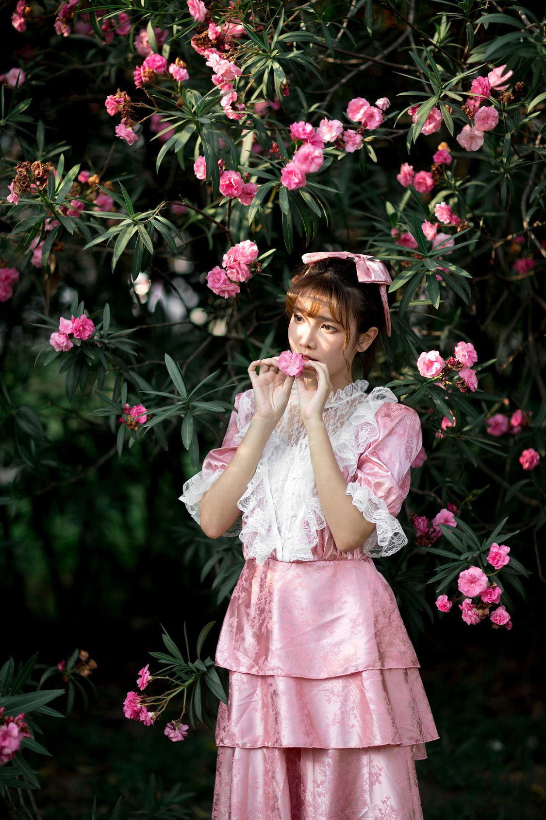 花开花落花满天 摄影师 大千Gz