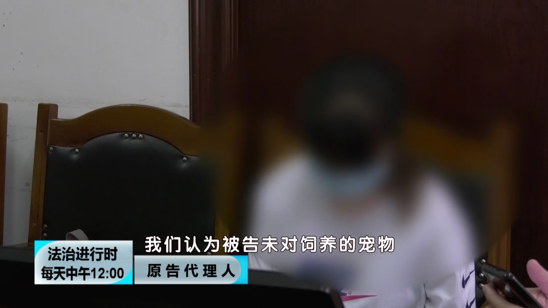 男子骑车撞狗后死亡,家属索赔百万