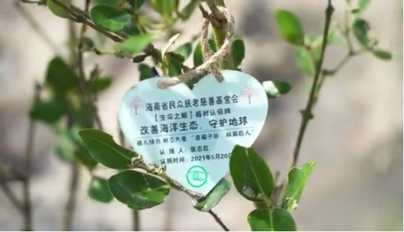 诗意中国 “生命之眼”520献礼地球母亲的真爱之礼