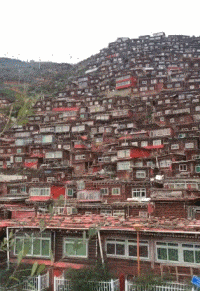 恐龙 神回复：已经能预见大家看到恐龙时的表情了，跟天塌下来一样呢。