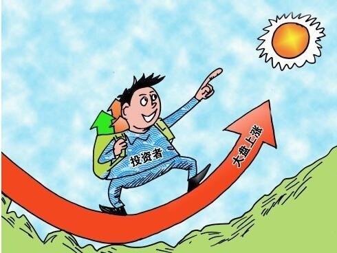 涨停 放量反弹，下周行情能否延续 ？