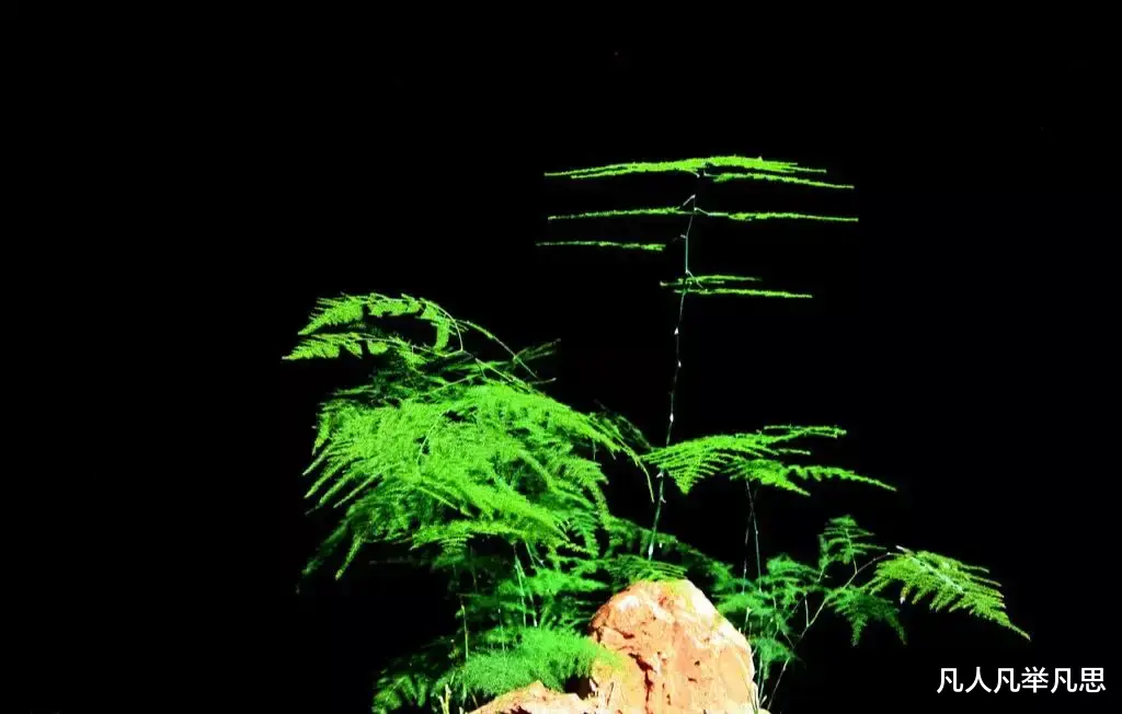凡人凡举凡思 每个人都是老师，每个人都在影响别人