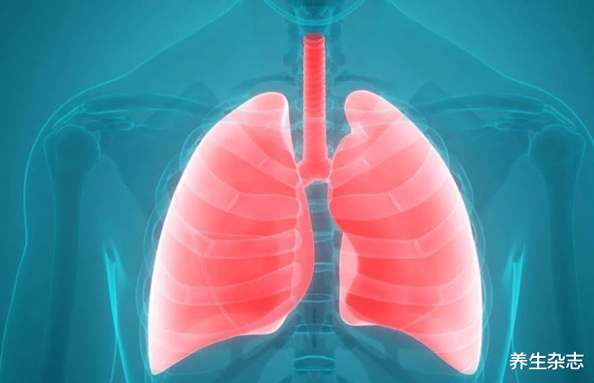 绿豆|肺的“稀释剂”被公布，并非绿豆水，若能爱喝，排出肺污，还你娇嫩肺部