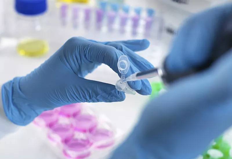 研究发现,干细胞疗法修复终末期肝病与其免疫调节作用息息相关