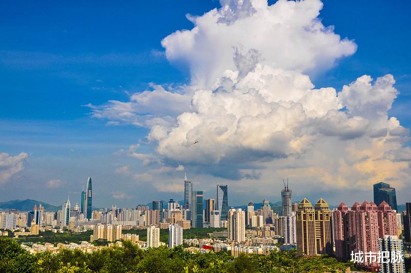 城市把脉 深圳：看了苏州才知道，原来中国也有古典与现代完美融合的城市