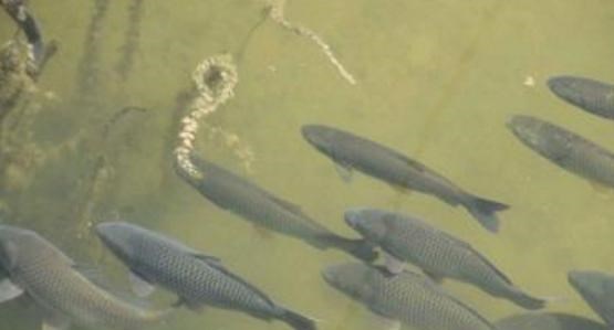 |夏季西南风不能钓鱼？不是不能钓，而是看你怎么钓！