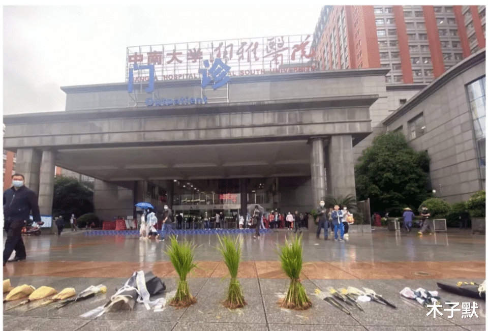 木子默 送别袁隆平,长沙,因为一个人从此爱上这座城