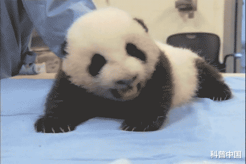 黑眼圈|黑眼圈=没睡好?万万没想到,可能与这些疾病有关