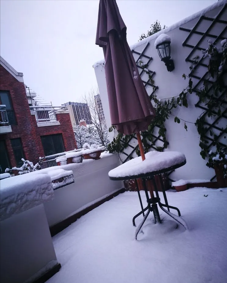 荒废了四年的10㎡北露台,改造成花园后,成了全家人最爱待的地方