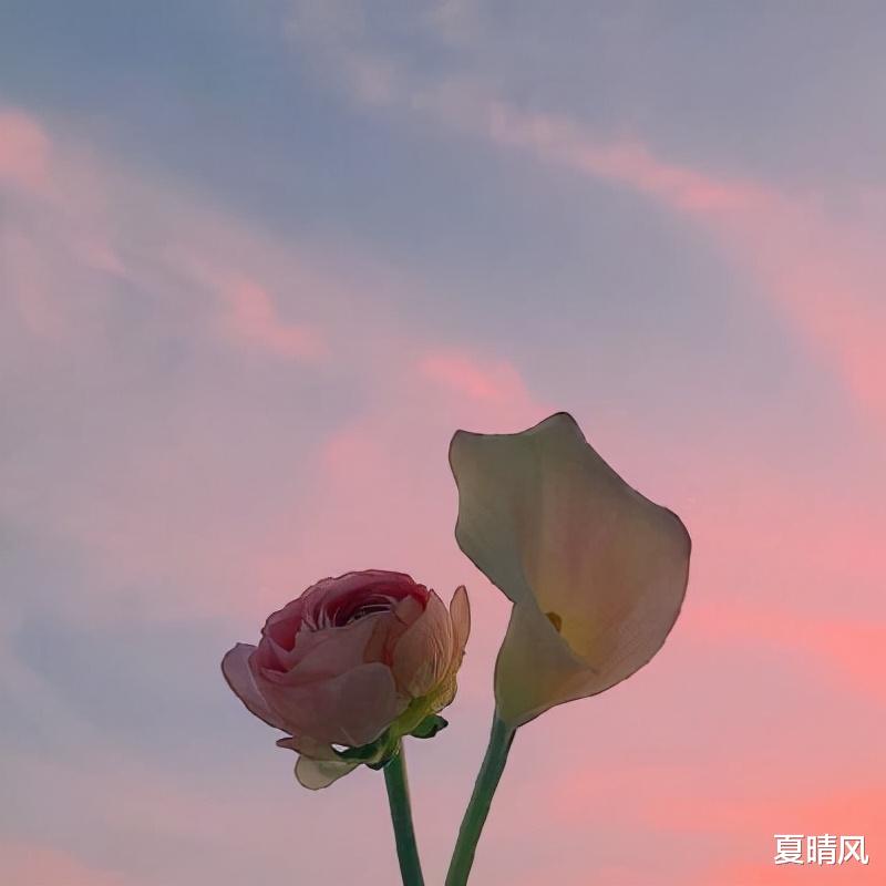 夏晴风 男人不爱你，会有的表现