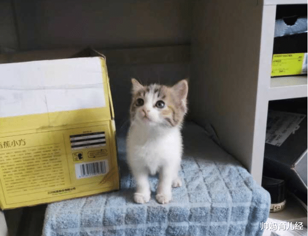 帅妈育儿经|女大学生宿舍迎来“突击检查”，违禁品掉落一地，宿管表情严肃