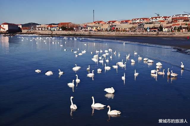 爱城市的旅游人 威海一“副县级”镇，由2个小镇合并而来，2条高速公路贯穿全境