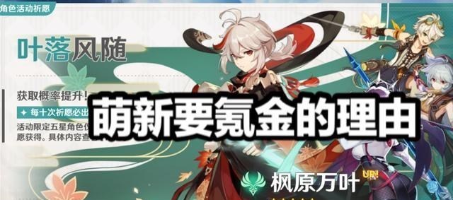 晓雪思考|《原神》萌新玩家要在万叶UP池氪金的三个理由，T1级阵容出现了！